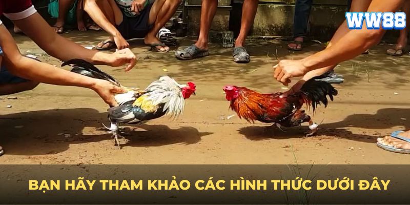 Bạn hãy tham khảo các hình thức dưới đây để chọn ra cho mình một thứ phù hợp nhất