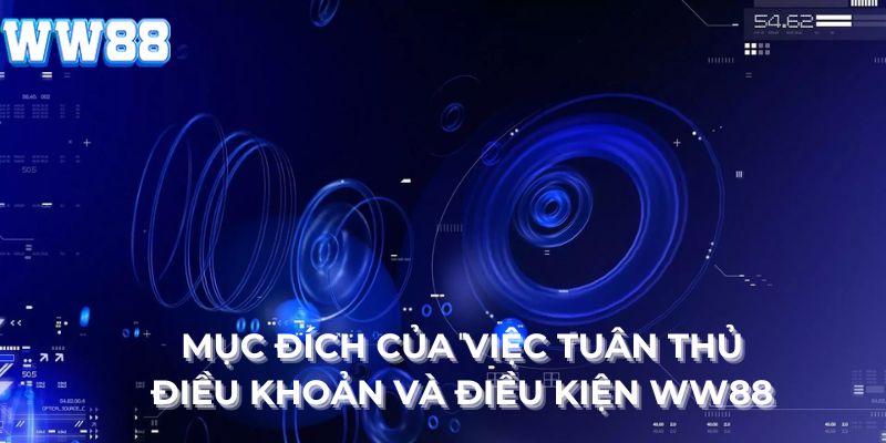 Mục đích của việc tuân thủ điều khoản và điều kiện WW88