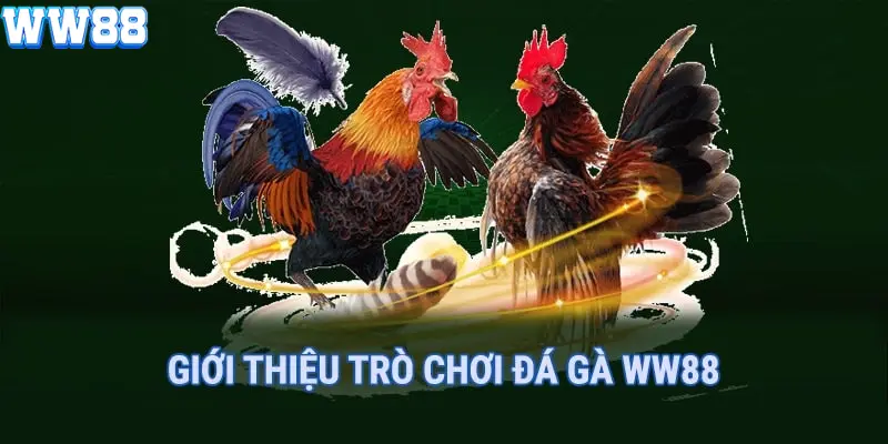 Những loại hình đá gà WW88 hiện nay 